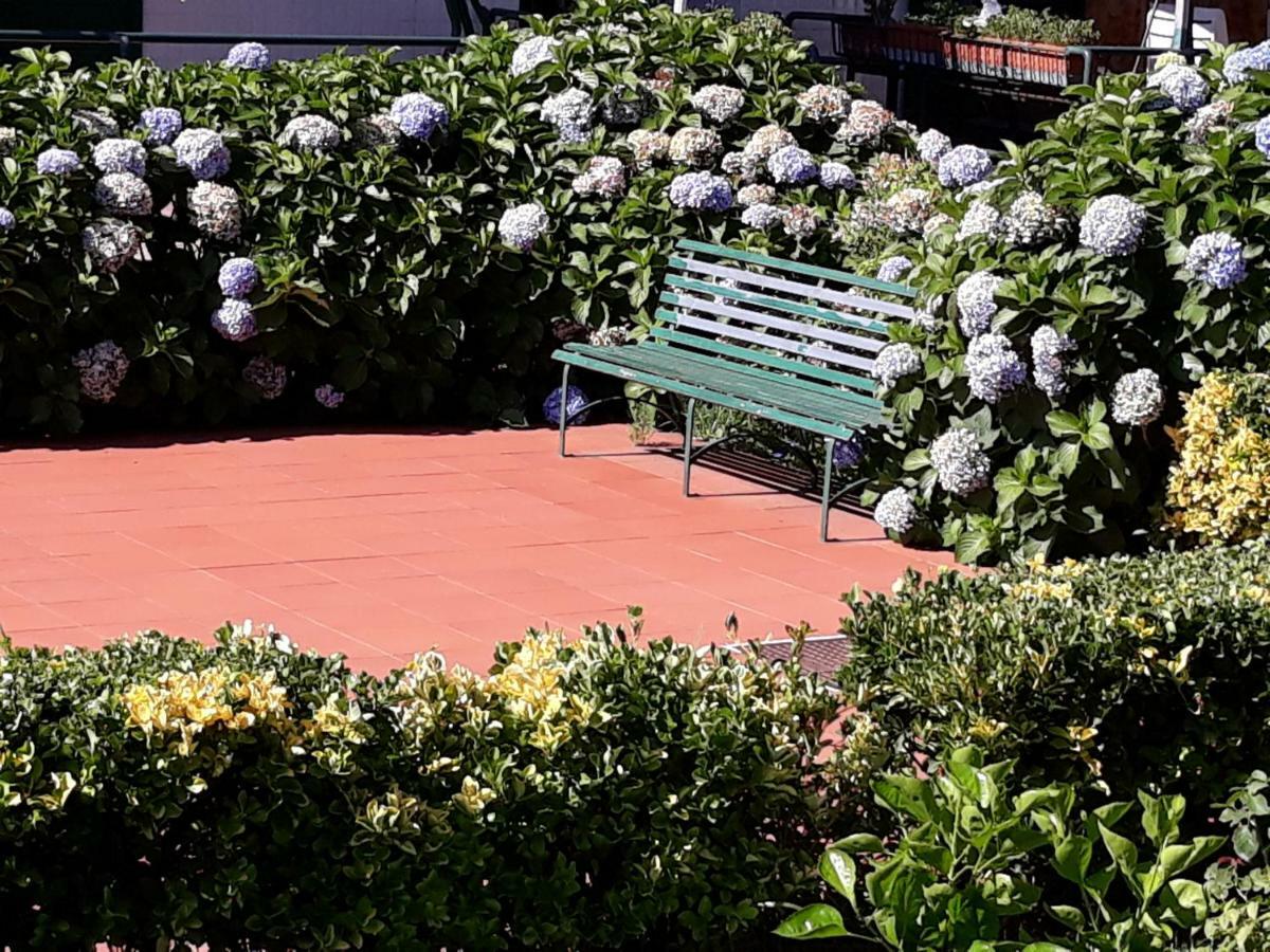 דירות מסקלי Al Giardino Sant'Anna מראה חיצוני תמונה