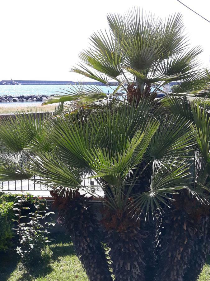 דירות מסקלי Al Giardino Sant'Anna מראה חיצוני תמונה